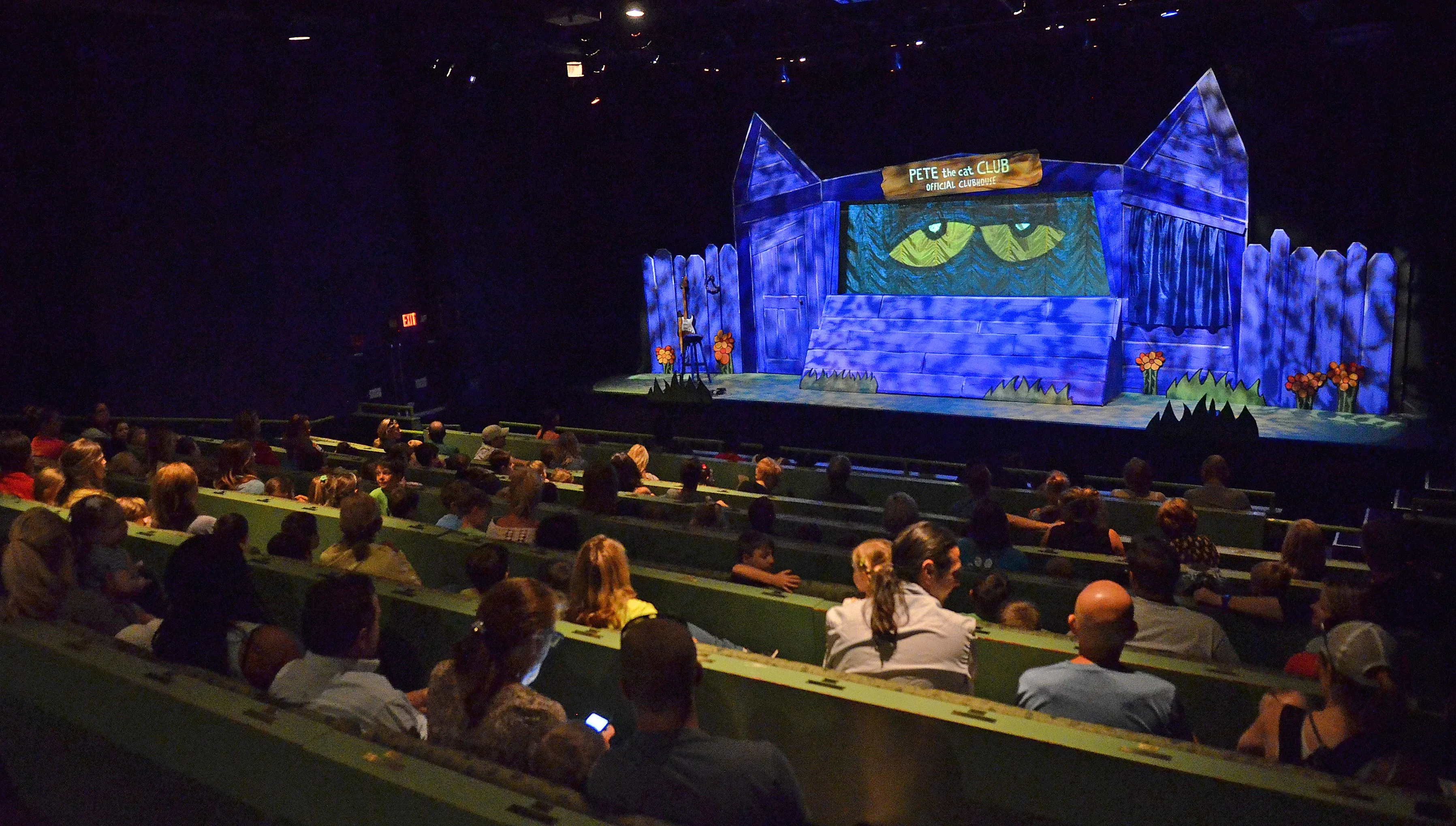 American Sign Language Interpreted Performances